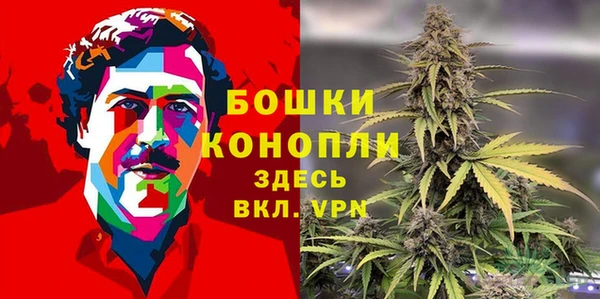 экстази Пересвет