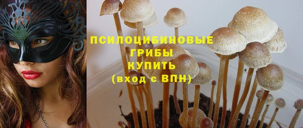 твердый Переславль-Залесский