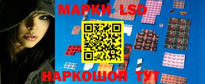 прущие грибы Нальчик