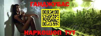 прущие грибы Нальчик