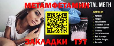 прущие грибы Нальчик