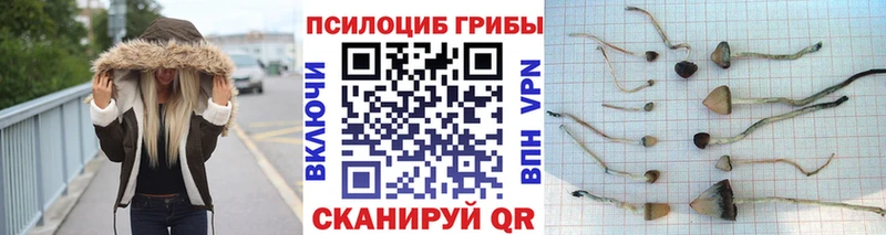 Галлюциногенные грибы GOLDEN TEACHER  сайты даркнета телеграм  Чапаевск  цены  