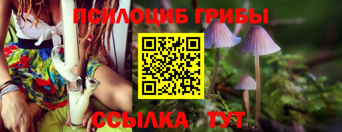 Чапаевск  Галлюциногенные грибы прущие грибы  Вход с VPN 